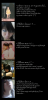 post-3283-1226799568_thumb.png
