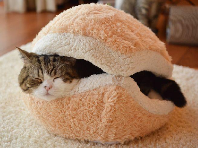 large.56cc01ea57ed9_Cat-Burger-Pillow_30