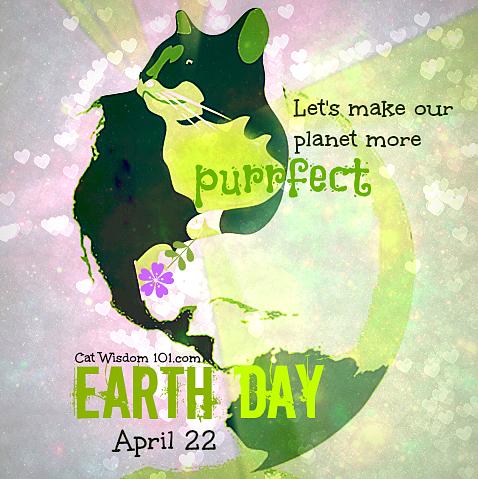 large.58fb80229df7e_earth-day-cats-quote-april-22-purrfect042217.jpg
