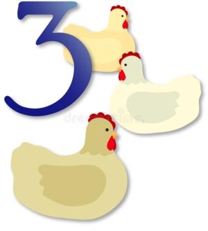 large.5a37ff5cb5373_3french-hens-363658121317.jpg