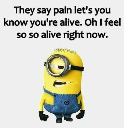 large.1601141443_Minionfunnyquotes-Pain030921.jpg